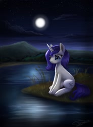 Size: 1588x2160 | Tagged: safe, artist:megabait, oc, equine, mammal, pony, feral, friendship is magic, hasbro, my little pony, female, loneliness, moon, mountain, night, river, water