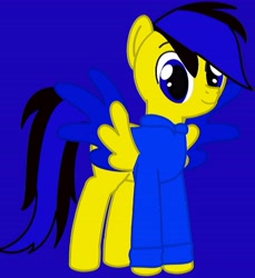Size: 5315x5791 | Tagged: safe, artist:mrstheartist, oc, oc only, oc:ponyseb 2.0, equine, fictional species, mammal, pegasus, pony, feral, friendship is magic, hasbro, my little pony, absurd resolution, blue background, bright colors, clothes, hoodie, looking at you, male, simple background, solo, solo male, spread wings, stallion, topwear, wings