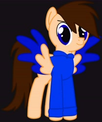Size: 6244x7463 | Tagged: safe, artist:mrstheartist, oc, oc only, oc:seb the pony, equine, fictional species, mammal, pegasus, pony, feral, friendship is magic, hasbro, my little pony, absurd resolution, black background, bright colors, clothes, hoodie, male, simple background, solo, solo male, stallion, topwear