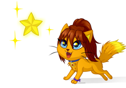 Size: 1585x1116 | Tagged: safe, artist:starshade, oc, oc only, oc:lesik, cat, feline, mammal, feral, 2019, blue eyes, brown hair, claws, collar, ear fluff, ears, feathered wings, feathers, female, fluff, fur, ginger fur, hair, head fluff, looking at something, orange body, orange fur, paw pads, paws, simple background, sitting, smiling, solo, solo female, starry eyes, stars, tail, tail fluff, underpaw, white background, wingding eyes, wings, yellow body, yellow fur