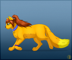 Size: 3500x2891 | Tagged: safe, artist:starshade, oc, oc only, oc:lesik, cat, feline, mammal, feral, 2017, blue eyes, brown hair, claws, collar, ear fluff, ears, feathered wings, feathers, female, fluff, fur, ginger fur, hair, head fluff, high res, looking at something, orange body, orange fur, paw pads, paws, simple background, sitting, smiling, solo, solo female, stars, tail, tail fluff, underpaw, white background, wings, yellow body, yellow fur