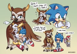 Size: 1684x1191 | Tagged: dead source, safe, artist:kohane01, amy rose (sonic), knuckles the echidna (sonic), longclaw (sonic), miles "tails" prower (sonic), sonic the hedgehog (sonic), bird, bird of prey, canine, echidna, fox, hedgehog, mammal, monotreme, owl, red fox, anthro, plantigrade anthro, sega, sonic the hedgehog (series), sonic the hedgehog movie, feathered wings, feathers, female, male, quills, ring (sonic), tail, tail feathers, wings