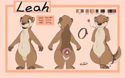 Size: 4000x2500 | Tagged: safe, artist:louart, oc, oc only, oc:leah (leahotterwag), mammal, mustelid, otter, semi-anthro, 8:5, character name, female, high res, lollipop, reference sheet, solo, solo female, tail