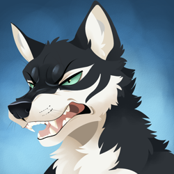 Size: 1000x1000 | Tagged: safe, artist:feve, oc, oc only, oc:fluskythehusky, canine, dog, husky, mammal, anthro, 2021, abstract background, angry, black body, black fur, black nose, bust, cheek fluff, chest fluff, digital art, eyebrows, fangs, fluff, front view, frowning, fur, green eyes, head fluff, male, open mouth, portrait, sharp teeth, solo, solo male, teeth, three-quarter view, white body, white fur