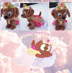 Size: 1252x1280 | Tagged: safe, artist:rainbow eevee, zuma (paw patrol), canine, dog, labrador, mammal, feral, nickelodeon, paw patrol, 2020, black nose, clothes, cloud, collar, digital art, dress, ears, fur, irl, male, paws, photo, plushie, sky, solo, solo male, tail