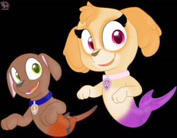 Size: 1280x999 | Tagged: safe, artist:rainbow eevee, skye (paw patrol), zuma (paw patrol), canine, cockapoo, dog, fictional species, fish, labrador, mammal, mer-pup (paw patrol), feral, nickelodeon, paw patrol, 2020, black nose, collar, digital art, duo, ears, female, fur, looking at you, male, paws, simple background, tail