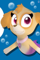 Size: 858x1280 | Tagged: safe, artist:rainbow eevee, skye (paw patrol), canine, cockapoo, dog, mammal, feral, nickelodeon, paw patrol, 2020, black nose, collar, digital art, ears, female, fur, looking at you, paws, solo, solo female, tail, underwater, water