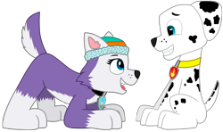 Size: 10427x6189 | Tagged: safe, artist:ejlightning007arts, everest (paw patrol), marshall (paw patrol), canine, dalmatian, dog, mammal, nordic sled dog, feral, nickelodeon, paw patrol, absurd resolution, clothes, collar, duo, face down ass up, female, hat, looking at each other, male, male/female, open mouth, sharp teeth, simple background, sitting, tail, teeth, transparent background, vector