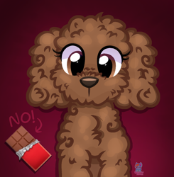 Size: 1256x1280 | Tagged: safe, artist:rainbow eevee, canine, dog, mammal, poodle, arrow, blank stare, cheek fluff, chest fluff, chocolate, cute, digital art, emoji, female, fluff, food, looking at you, looking down, looking down at you, no, rainbow eevee is trying to murder us, red background, shading, simple background, solo, solo female, toy poodle