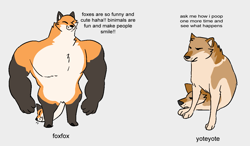 Size: 1197x697 | Tagged: safe, artist:theroguez, oc, oc only, oc:foxfox (theroguez), oc:yoteyote (theroguez), canine, coyote, fox, mammal, red fox, anthro, digitigrade anthro, feral, 2021, ambiguous gender, ambiguous only, anthrofied, big muscles, black body, black fur, cheems, clothes, conjoined, conjoined twins, digital art, doge, duo, duo ambiguous, eyes closed, fur, gloves, gray background, meme, multicolored fur, multiple heads, muscles, not amused face, orange body, orange fur, paws, simple background, sitting, socks (leg marking), standing, talking, two heads, whiskers, white body, white fur