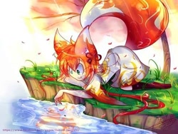 Size: 480x360 | Tagged: safe, artist:sakura_doujinshi_sd, oc, oc only, animal humanoid, canine, fictional species, fox, mammal, humanoid, 2016, clothes, female, low res, outdoors, pond, reflection, smiling, solo, solo female