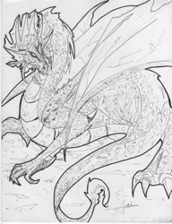 Size: 1785x2320 | Tagged: safe, artist:sakura_doujinshi_sd, dragon, fictional species, feral, ambiguous gender, grayscale, monochrome, solo, solo ambiguous, traditional art