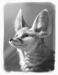Size: 780x1000 | Tagged: safe, artist:rotarr, canine, fennec fox, fox, mammal, feral, lifelike feral, 2021, ambiguous gender, big ears, border, digital art, digital painting, ear fluff, ears, featured image, fluff, front view, grayscale, monochrome, neck fluff, non-sapient, realistic, three-quarter view, whiskers, white border