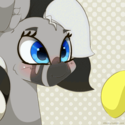 Size: 1024x1024 | Tagged: safe, artist:n0nnny, equine, mammal, zebra, feral, friendship is magic, hasbro, my little pony, 2d, 2d animation, animated, blushing, boop, cute, female, female focus, frame by frame, gif, mare, solo focus, ungulate