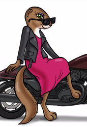 Size: 1893x2772 | Tagged: artist needed, source needed, safe, mammal, rodent, squirrel, anthro, clothes, dress, female, glasses, green eyes, jacket, motorcycle, sitting, solo, solo female, sunglasses, topwear, vehicle