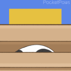 Size: 827x827 | Tagged: safe, artist:pocketpaws, cat, feline, mammal, feral, 2d, 2d animation, ambiguous gender, animated, cute, frame by frame, gif, heterochromia, solo, solo ambiguous