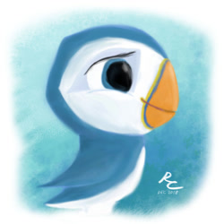 Size: 925x925 | Tagged: safe, artist:rpac62, oona (puffin rock), bird, puffin, feral, cartoon saloon, puffin rock, beak, blue eyes, chick, female, solo, solo female, young