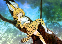 Size: 1637x1157 | Tagged: safe, artist:赤津豊, serval (kemono friends), animal humanoid, feline, fictional species, mammal, serval, humanoid, kemono friends, bottomwear, breasts, clothes, female, skirt, solo, solo female