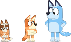 Size: 7028x4198 | Tagged: safe, artist:thatusualguy06, bingo heeler (bluey), bluey heeler (bluey), chilli heeler (bluey), australian cattle dog, canine, dog, mammal, semi-anthro, bluey (series), trace, 2021, absurd resolution, angry, daughter, female, females only, hilarious in hindsight, mother, mother and daughter, on model, palette swap, sad, siblings, simple background, sister, sisters, tail, transparent background, trio, trio female, vector