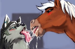 Size: 1264x822 | Tagged: suggestive, artist:ungulatr, epona (zelda), link (wolf form), link (zelda), canine, equine, horse, mammal, wolf, feral, nintendo, the legend of zelda, the legend of zelda: twilight princess, blue eyes, blushing, duo, duo male and female, ear piercing, earring, female, feral/feral, french kiss, fur, gray body, gray fur, hair, interspecies, male, male/female, mane, mare, piercing, saliva, saliva trail, sloppy kissing, tongue, tongue out, ungulate, white hair