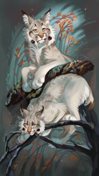 Size: 718x1280 | Tagged: safe, artist:geosaiko1267, feline, lynx, mammal, feral, lifelike feral, 2021, ambiguous gender, autumn, cheek fluff, digital art, digital painting, ear fluff, ear tuft, fluff, fur, gray body, gray fur, lying down, non-sapient, paws, prone, realistic, solo, solo ambiguous, tree branch, whiskers, white body, white fur