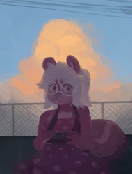 Size: 949x1251 | Tagged: safe, artist:shortwingus, oc, oc:valerie, mammal, rodent, squirrel, anthro, camera, clothes, cloud, dress, female, fence, fur, glasses, hair, outdoors, pink eyes, power lines, round glasses, solo, solo female, tail, white hair
