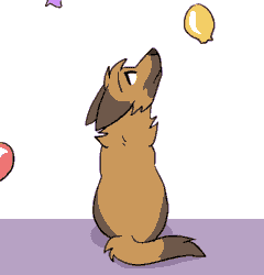 Size: 602x626 | Tagged: safe, artist:theroguez, oc, oc only, oc:rayj (theroguez), canine, coydog, coyote, dog, hybrid, mammal, feral, 2021, 2d, 2d animation, animated, balloon, brown body, brown fur, brown nose, ears, eyebrows, female, fluff, frame by frame, fur, gif, looking up, multicolored fur, orange body, orange fur, raised head, rear view, sad, simple background, sitting, solo, solo female, squigglevision, tail, tail fluff, two toned body, two toned fur, white background