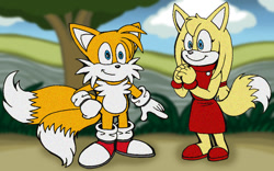 Size: 1040x651 | Tagged: dead source, safe, artist:acedojofox, miles "tails" prower (sonic), zooey the fox (sonic), canine, fox, mammal, red fox, anthro, plantigrade anthro, sega, sonic boom (series), sonic the hedgehog (series), anthro/anthro, dipstick tail, duo, ears, female, fluff, male, male/female, multiple tails, orange tail, tail, tail fluff, tailsey (sonic), two tails, vixen, white tail
