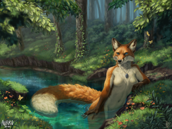 Size: 1280x962 | Tagged: safe, artist:aurru, canine, fox, mammal, red fox, anthro, ambient insect, belly button, blue eyes, breasts, brown body, brown fur, cheek fluff, cream body, cream fur, digital art, digital painting, ear fluff, featureless breasts, female, flower, fluff, forest, fur, gloves (arm marking), grass, jewelry, necklace, orange body, orange fur, partially submerged, pendant, scenery, scenery porn, solo, solo female, stream, tail, tree, vixen, water, whiskers