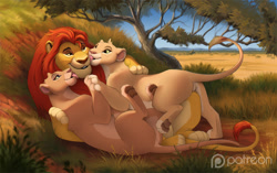 Size: 1280x803 | Tagged: safe, alternate version, artist:lynxgirl, kion (the lion guard), tiifu (the lion guard), zuri (the lion guard), big cat, feline, lion, mammal, feral, disney, the lion guard, the lion king, 2021, colored sclera, cream body, cream fur, cuddling, digital art, eye scar, featureless crotch, female, feral/feral, foot on back, fur, grass, group, hair, hug, legs in air, leonine tail, licking, licking face, lioness, lying down, male, male/female, mane, older, on back, orange hair, outdoors, patreon logo, paw on back, paw pads, paws, raised leg, scar, scenery, scenery porn, shipping, smiling, tail, tan body, tan fur, teeth, tongue, tongue out, tree, trio, underpaw, watermark, yellow body, yellow fur, yellow sclera