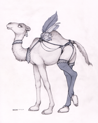 Size: 1020x1279 | Tagged: safe, artist:ecmajor, camel, dromedary, mammal, feral, 2018, ambiguous gender, black and white, butt, clothes, ear piercing, earring, feather, fur, garter, garter belt, grayscale, hooves, jewelry, legwear, lingerie, monochrome, piercing, simple background, solo, solo ambiguous, stockings, tail, tail jewelry, tail ring, traditional art, underwear, white background