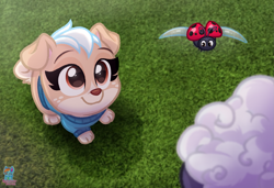 Size: 1907x1304 | Tagged: safe, artist:rainbow eevee, keia (puppy dog pals), arthropod, bovid, canine, caprine, dog, insect, ladybug, mammal, pomeranian, sheep, disney, puppy dog pals, 2021, awww, clothes, cream body, cream fur, digital art, eyebrows, female, flying, fur, grass, grin, looking up, multicolored fur, offscreen character, puppy, rainbow eevee is trying to murder us, smiling, sunset, sweater, topwear, two toned body, two toned fur, young