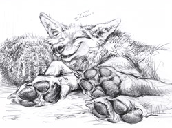 Size: 2592x1926 | Tagged: safe, artist:kenket, canine, mammal, feral, 2021, ambiguous gender, claws, eyes closed, grayscale, lying down, monochrome, on side, paw focus, paw pads, paws, sleeping, smiling, solo, solo ambiguous, underpaw, zzz