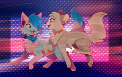 Size: 1280x812 | Tagged: safe, artist:ezpups, oc, oc only, oc:bani temari, cat, feline, mammal, feral, 2020, bandanna, blue body, blue eyes, blue fur, blue hair, cheek fluff, clothes, female, fluff, fur, hair, hair over one eye, head fluff, leg fluff, paw pads, paws, pink body, pink fur, raised tail, side view, simple background, solo, solo female, standing, tail, tail fluff, tongue, tongue out, white body, white fur