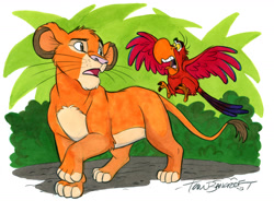 Size: 1697x1250 | Tagged: safe, artist:tom bancroft, iago (aladdin), simba (the lion king), big cat, bird, feline, lion, mammal, parrot, feral, aladdin (disney franchise), disney, the lion king, 2d, crossover, cub, duo, duo male, feathers, fur, male, males only, orange body, orange fur, red feathers, young