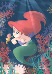 Size: 778x1100 | Tagged: safe, artist:nuriaabajo, ariel (the little mermaid), fictional species, fish, mammal, mermaid, seahorse, feral, humanoid, disney, the little mermaid (disney), ambiguous gender, female, solo, solo ambiguous, solo female