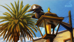 Size: 1280x720 | Tagged: safe, artist:katnay, bird, corvid, crow, songbird, feral, ambiguous gender, beak, lamp, outdoors, palm tree, solo, solo ambiguous, tree