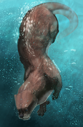 Size: 834x1280 | Tagged: safe, artist:venlightchaser, mammal, mustelid, otter, feral, bubbles, solo, underwater, water