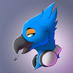Size: 1280x1280 | Tagged: safe, artist:capseys, oc, oc only, oc:flimt, bird, anthro, 2021, beak, black body, blue feathers, chest fluff, cyan eyes, feathers, fluff, gradient background, head fluff, headphones, male, musical note, open mouth, orange feathers, side view, solo, solo male
