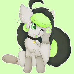 Size: 3000x3000 | Tagged: safe, artist:pegamutt, oc, oc only, oc:bree jetpaw, canine, dog, dog pony, equine, fictional species, mammal, pony, feral, hasbro, my little pony, black hair, blep, collar, colored pupils, colored tongue, eye through hair, feathered wings, feathers, female, folded wings, fur, gray body, gray fur, green background, green eyes, green hair, green tongue, hair, high res, mane, outline, paws, pet tag, scratching, simple background, solo, solo female, tongue, tongue out, wings