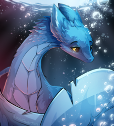 Size: 800x885 | Tagged: safe, artist:lucidguardian, dragon, fictional species, reptile, scaled dragon, feral, bubbles, bust, portrait, solo, underwater, water