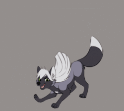 Size: 500x447 | Tagged: safe, artist:tuwka, canine, fox, mammal, feral, 2d, 2d animation, animated, cute, female, frame by frame, gif, gray background, green eyes, low res, simple background, solo, solo female, vixen
