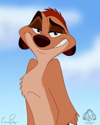 Size: 1024x1278 | Tagged: safe, artist:cammiko, timon (the lion king), mammal, meerkat, disney, the lion king, 2016, cheeky, grin, looking at you, male, solo, solo male
