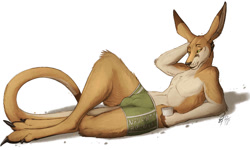 Size: 1200x721 | Tagged: suggestive, artist:lizet, kangaroo, mammal, marsupial, anthro, 2018, brown body, brown fur, bulge, clothes, drink, fur, hands, lying down, macropod, male, orange body, orange fur, partial nudity, paws, pinup, simple background, solo, solo male, tail, teasing, topless, underwear, white background