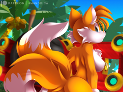 Size: 2000x1501 | Tagged: suggestive, artist:amanddica, miles "tails" prower (sonic), canine, fox, mammal, red fox, anthro, sega, sonic the hedgehog (series), 2021, aircraft, airplane, big breasts, big butt, black nose, blue eyes, breasts, butt, chest fluff, dipstick tail, ear fluff, eyelashes, featureless breasts, female, fluff, fur, hair, looking at you, looking back, looking back at you, mila "tails" prower, multicolored fur, multiple tails, orange tail, rule 63, shoulder fluff, sideboob, solo, solo female, tail, tail fluff, tailsko, tree, two tails, two toned body, two toned fur, vehicle, vixen, white body, white fur, white tail, yellow body, yellow fur
