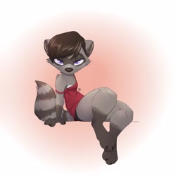 Size: 2500x2500 | Tagged: safe, artist:louart, mammal, procyonid, raccoon, anthro, bottomwear, bra, clothes, female, high res, shorts, solo, solo female, tail, top, underwear