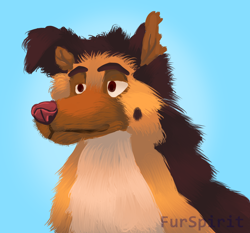 Size: 3000x2800 | Tagged: safe, artist:furspirit, charlie (all dogs go to heaven), canine, dog, german shepherd, mammal, all dogs go to heaven, sullivan bluth studios, blue background, brown body, brown fur, bust, fanart, fur, high res, lidded eyes, male, multicolored fur, simple background, solo, solo male, tan body, tan fur, watermark