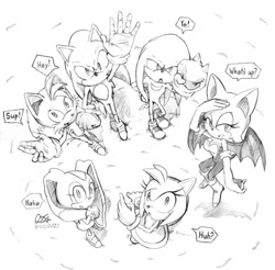 Size: 800x788 | Tagged: safe, artist:qt-star, amy rose (sonic), cream the rabbit (sonic), knuckles the echidna (sonic), miles "tails" prower (sonic), rouge the bat (sonic), sonic the hedgehog (sonic), bat, canine, echidna, fox, hedgehog, lagomorph, mammal, monotreme, rabbit, red fox, anthro, plantigrade anthro, sega, sonic the hedgehog (series), 2021, dipstick tail, female, fluff, male, multiple tails, orange tail, quills, red tail, tail, tail fluff, two tails, white tail