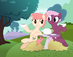 Size: 9609x7611 | Tagged: safe, artist:thatusualguy06, jasmine leaf (mlp), raspberry vinaigrette (mlp), earth pony, equine, fictional species, mammal, pony, feral, friendship is magic, hasbro, my little pony, absurd resolution, base used, blue eyes, bush, cloud, drink, duo, duo female, female, females only, gritted teeth, hair, hay, hill, looking at each other, mare, missing accessory, on model, open mouth, orange hair, pink hair, purple body, saucer, sitting, table, tan body, tea, teacup, teapot, teeth, tree, vector