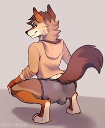 Size: 822x1000 | Tagged: suggestive, artist:alibi-cami, canine, mammal, anthro, arched back, arms bent, bedroom eyes, bent legs, brown body, brown fur, bulge, butt, clothes, crouching, dipstick tail, fur, hands on knees, hands on legs, holding, hoodie, looking at you, looking back, looking back at you, male, multicolored body, multicolored fur, multicolored tail, narrowed eyes, seductive, simple background, smiling, smirk, solo, solo male, squatting, tail, topwear, underwear